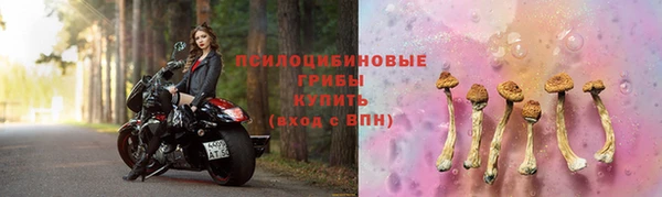 spice Протвино