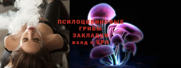 мдпв Заполярный