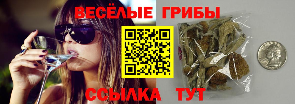 где купить наркоту  Вход с VPN  Саяногорск  Псилоцибиновые грибы Psilocybe 